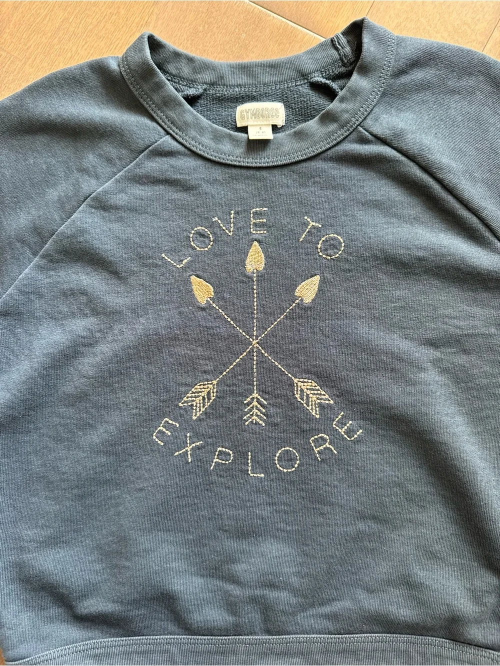 Gymboree “love explore”
